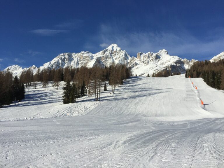 462967386_8467331563379910_7674260829410110379_n