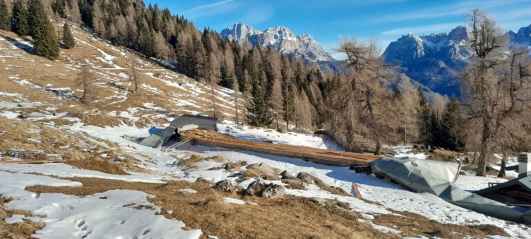 64ac92c1-c10f-4ce9-b1b1-9314b03e9604