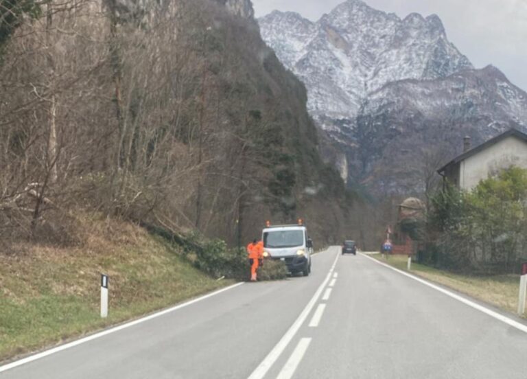 8194f40d-b6ce-4bed-837f-ea68c0bbd59e