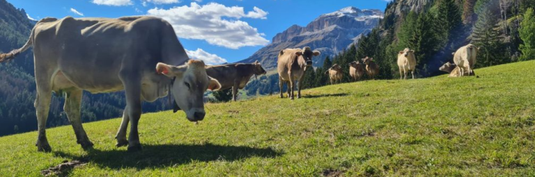 PHOTO-2022-09-21-18-41-09-dccdd959-26f6f4b1