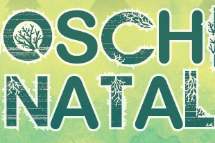 boschi a natale