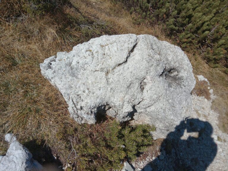 d9d3fcf0-ab8f-4a61-a8c0-3e561b59e22b