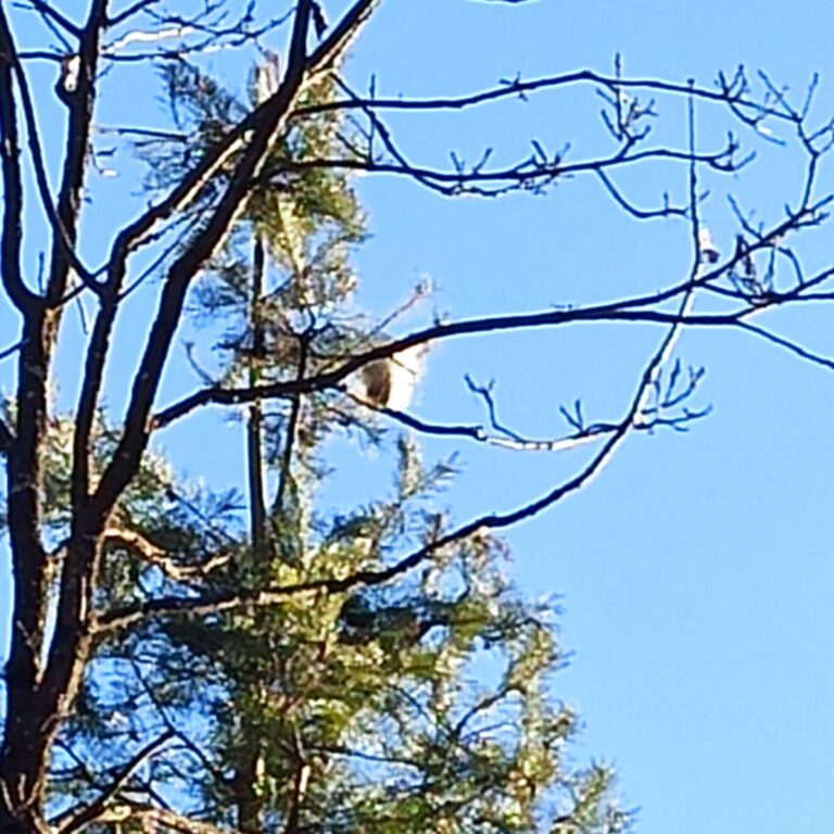 ea02291f-7b5c-455d-86fe-1c772730ab93