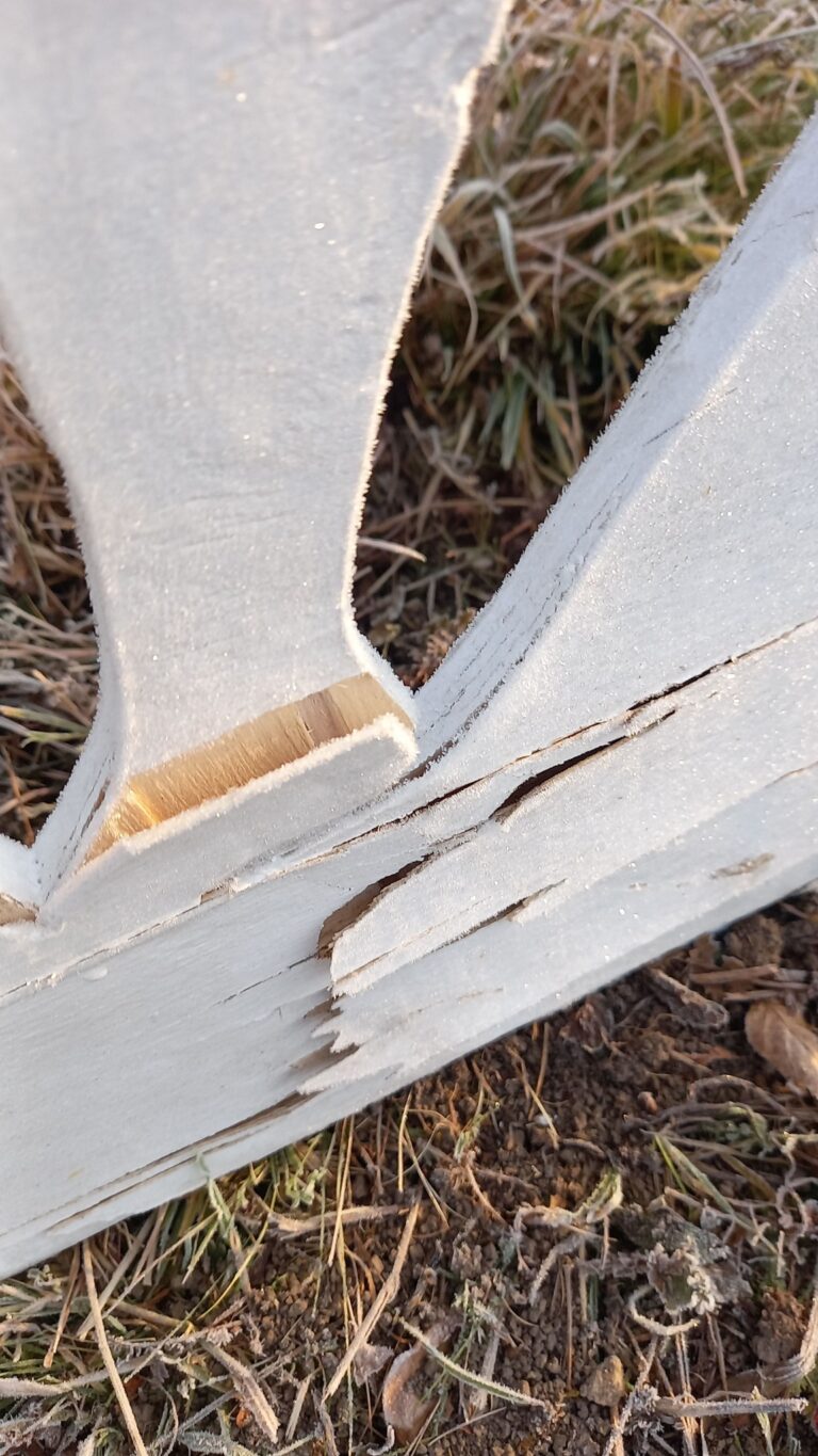 472090474_3456602814645632_6798236100389010248_n