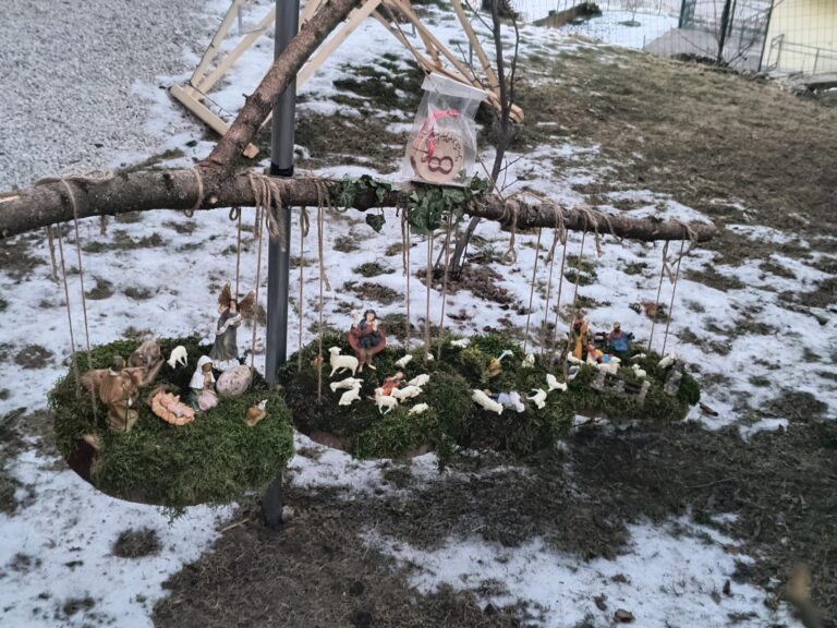 4e0615d2-29b1-43f1-8679-a96462251cc8