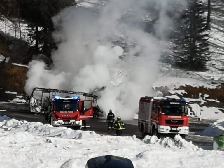 63c0a147-972b-4dad-8aea-fc333cbf168d