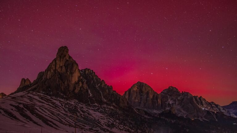 74930772-3eb7-40f2-a9aa-4ba1b606cd38