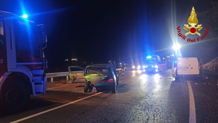 7e82fc0d-c713-46df-8e12-f43b87597a82