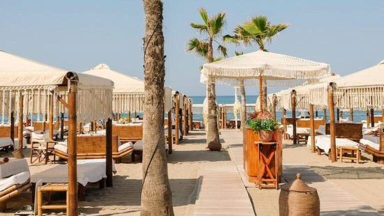 Progetto senza titolo – 2025-01-15T154620.597