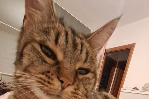 Senza nome
