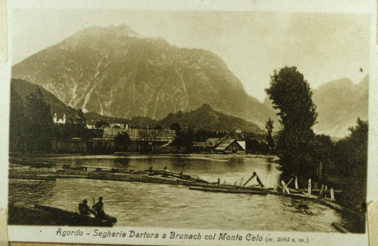 d72658d3-f107-4222-a51b-10a19fad6d3c