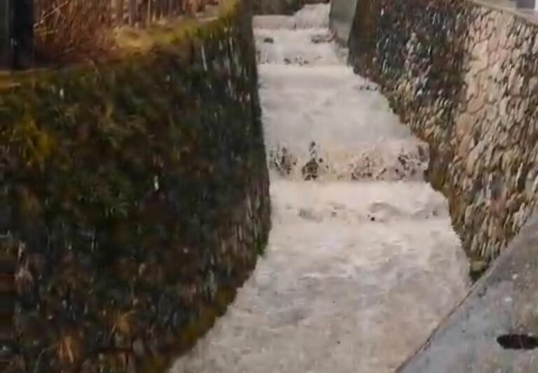 e9bedada-d293-41d6-b7a3-96ffd52cbbc9