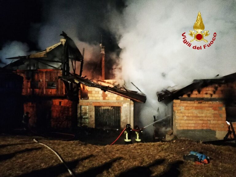 f1117d62-7a28-47b3-9f28-f4c9743a2e61