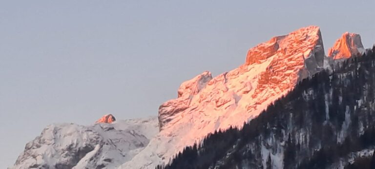 68ae5bde-d98c-4d6e-a247-dd317fa167ee