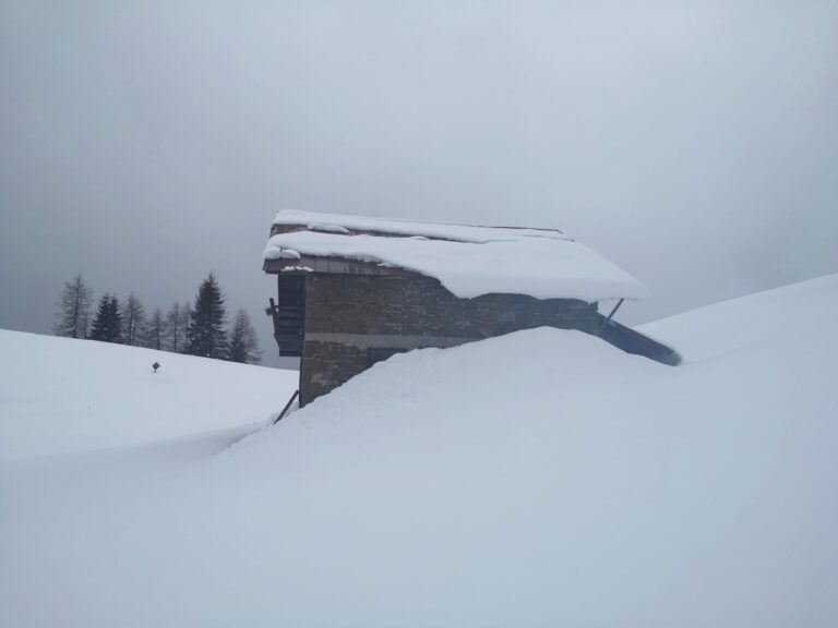 0ea1d5ec-6207-408f-8460-d1bf1c6739cb