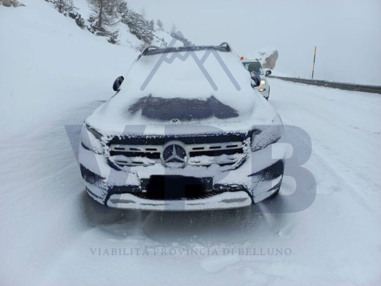 8a28ee31-9a4b-4d0a-bc3f-7dbc1fcb6762