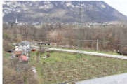 Immagine 2025-03-19 115927