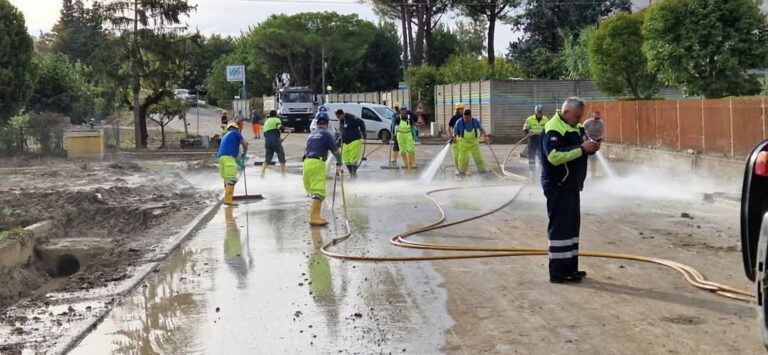 a04961d6-ae99-4fce-8204-32dca4b5f866