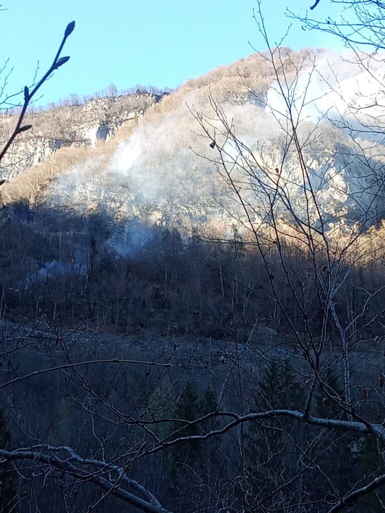 b2bc7519-04ba-4988-96e0-e13d08357d29