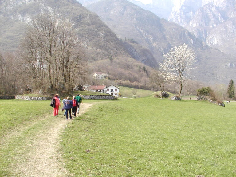 d8a0dfdf-428a-4fe4-831f-fb87cce0eecd