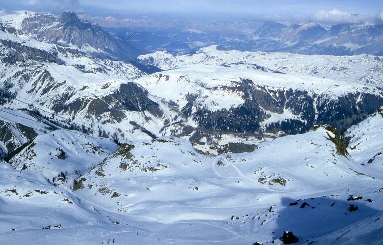 250ea3ff-dd10-44c8-b1ae-7593feb2e69b