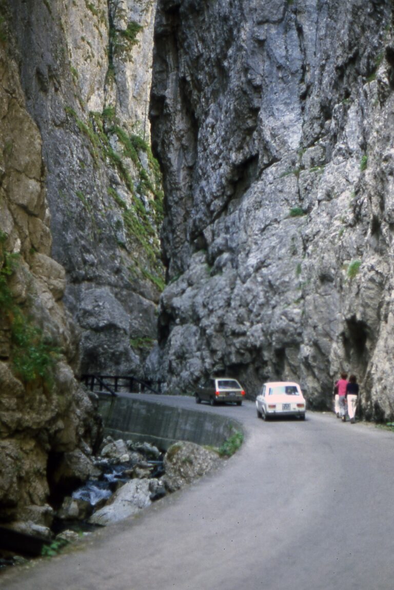 439adcf6-e1a8-4750-ac0e-9fc1e414de64