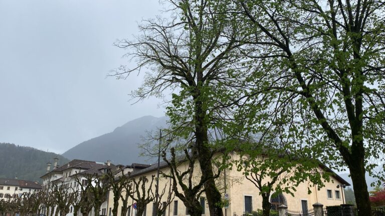 5471dde0-208c-4678-ba9e-688adfee3580