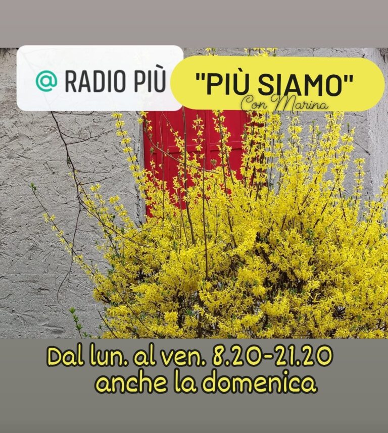 560ae897-b803-4411-b34e-397ce0c7d35a