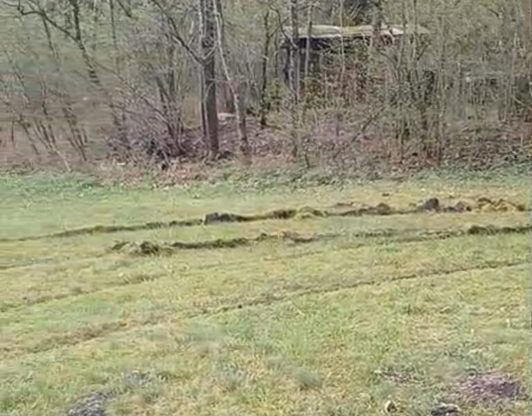 56446cd5-0b89-433e-8172-ac9d9c7bdb95