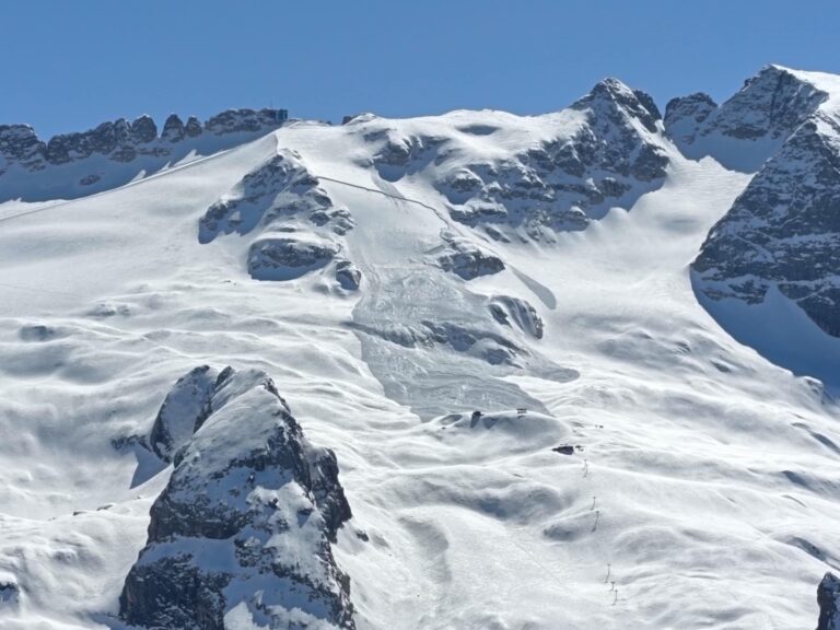 61967785-423a-440f-be7a-c451fd1f3354