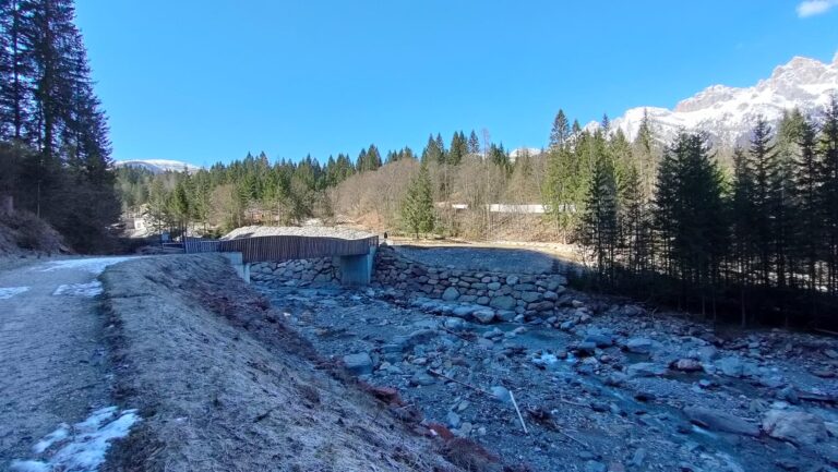 66633653-57a5-4efa-88ca-a32c3606adff