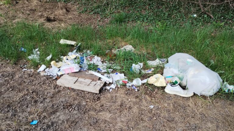 6f8b2c3f-5a7a-4a12-b119-177afd1a1287