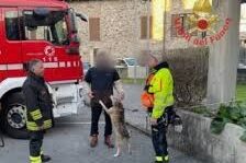 Immagine 2025-04-12 155739