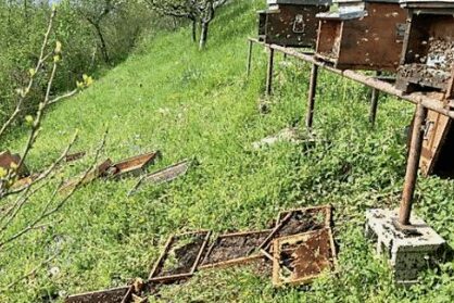 Immagine 2025-04-22 050510