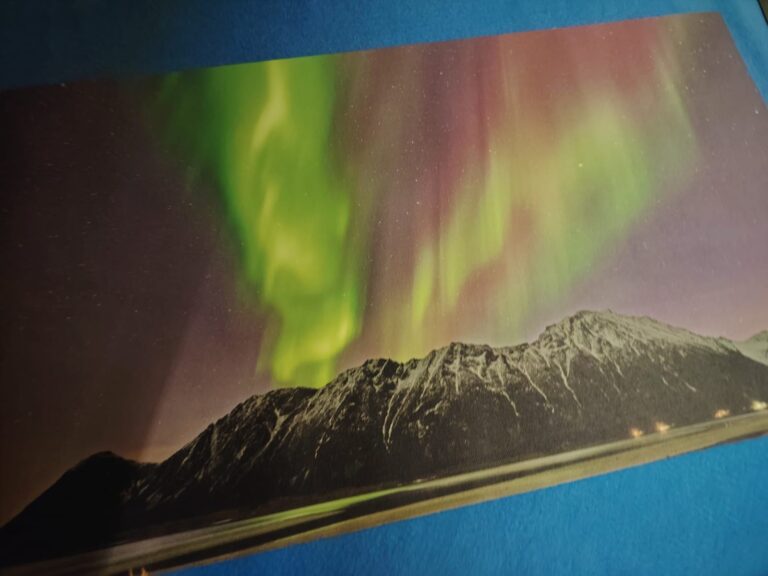 a553d92a-9159-49a8-a1a4-f18dc739458c