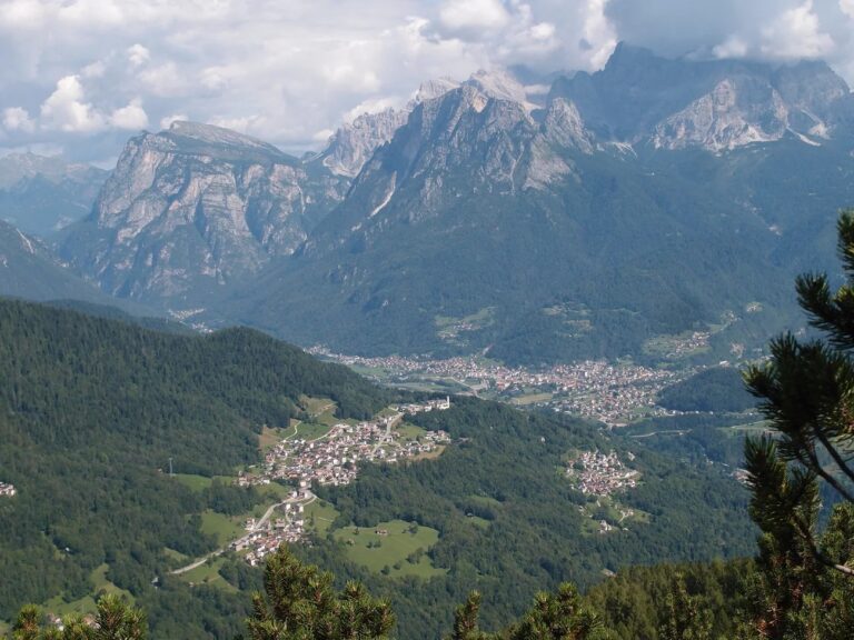 b3363a33-31d8-465f-99f4-7ff98657c90d