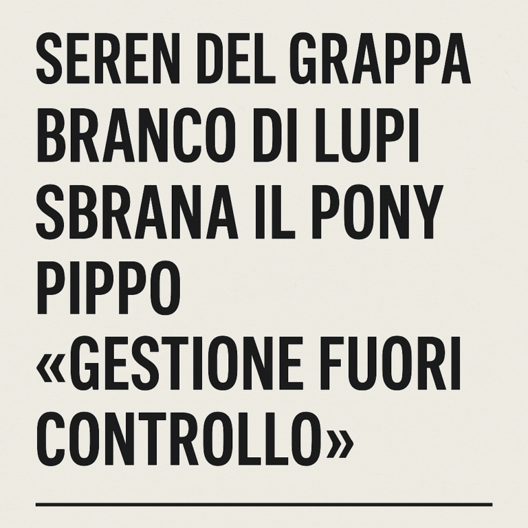 eec46eff-0a15-4171-abc2-e102f5bdb6c6