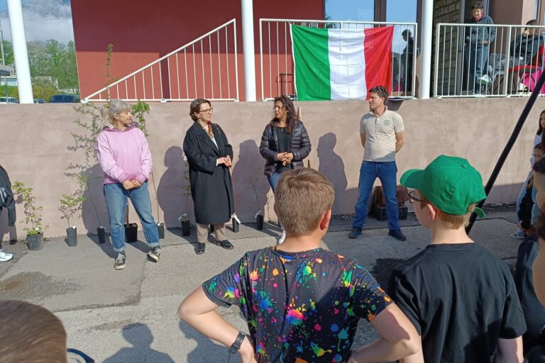 piantumazione Scuola media Sedico (1)-1