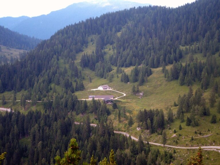 133e582e-d5ec-4acd-b2cc-f6f41aa191a0