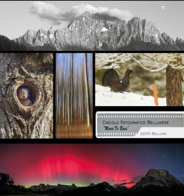 22f43999-6712-4b28-80c3-5886f435041b