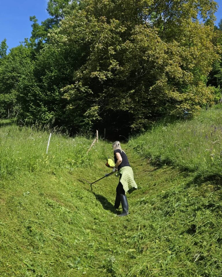 501464639_18415852081096744_9030000229958400938_n