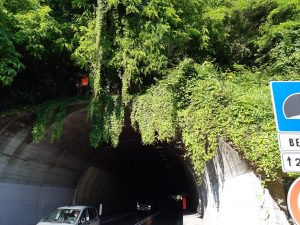 Galleria-Belluno-prima-300×225