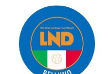 Immagine 2025-05-01 111902