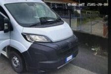Immagine 2025-05-14 154559