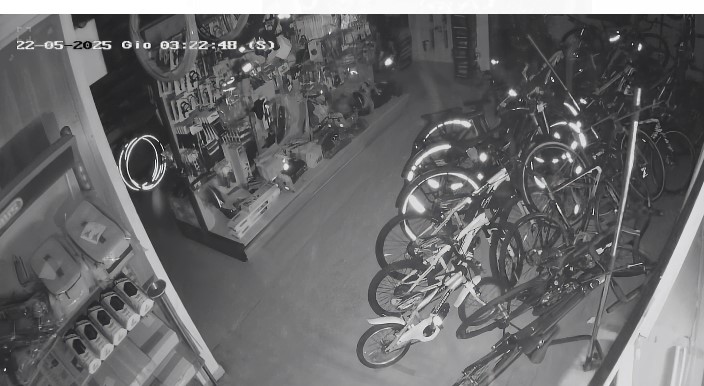 Immagine 2025-05-23 045010