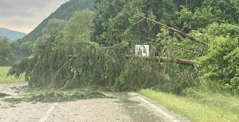 Immagine 2025-05-29 050428