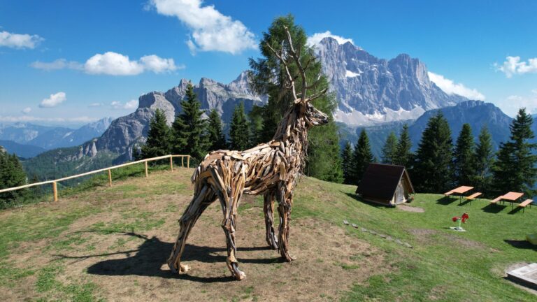 1acf2054-e99b-4475-bb24-e4b864d81799