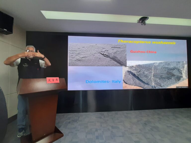 5f2dd8c1-620f-4d2b-a755-c08431dd76ac