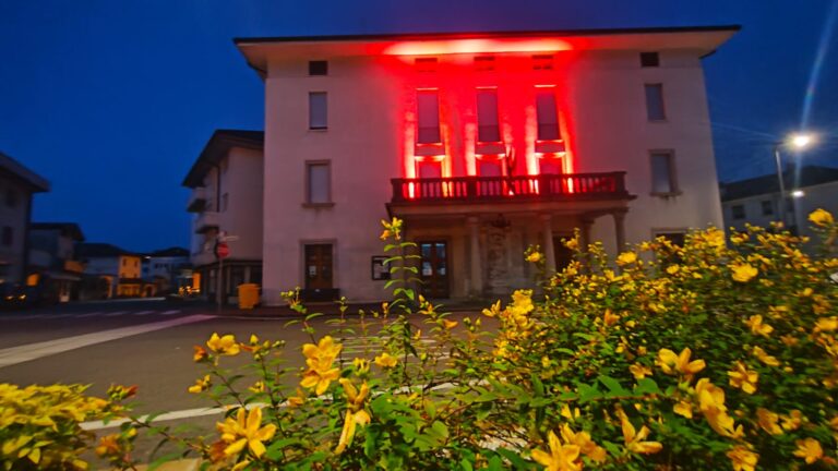 6c26baac-636f-452a-98c1-98f2863bfd13