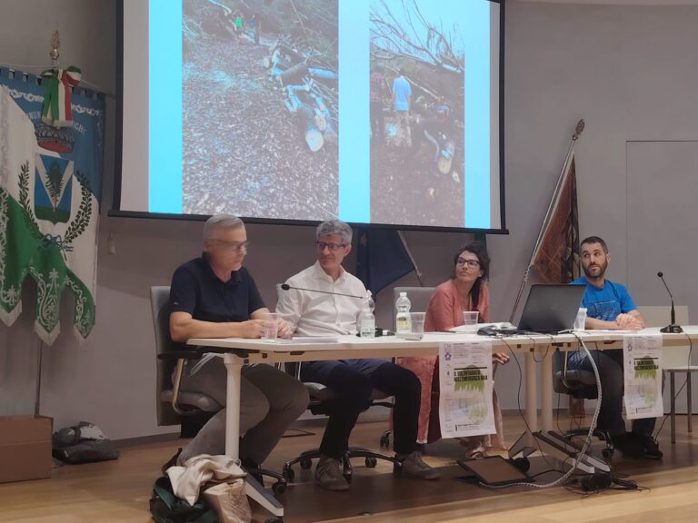 74311563-ba54-4bd2-a0ad-00abe37ecce1